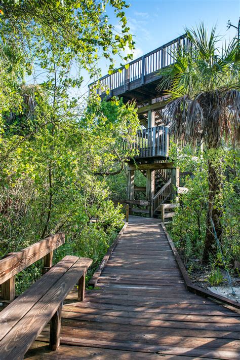 Delnor wiggins state park - Join Robb Stan for his Monday morning beach walk at Delnor-Wiggins Pass State Park in North Naples, Florida. Recorded LIVE on Facebook, Recorded: May 15, 202...